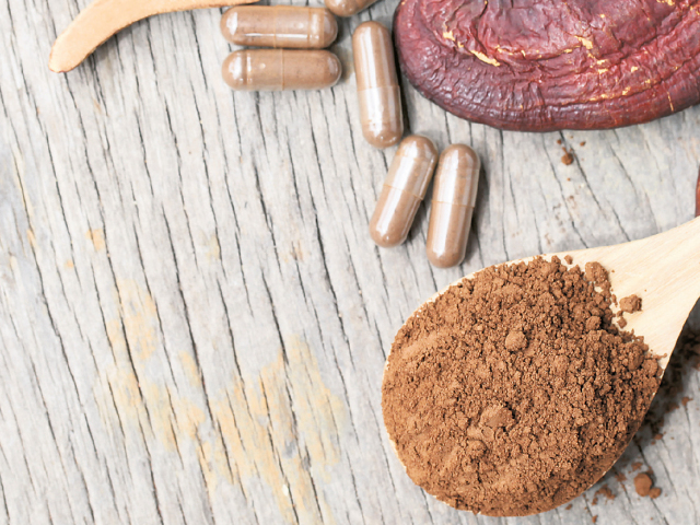 reiši, medicinálna huba, liečivá huba, huba, reishi, lesklokôrovka, lesklokôrka