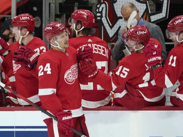 Stars Red Wings Hockey Pánik