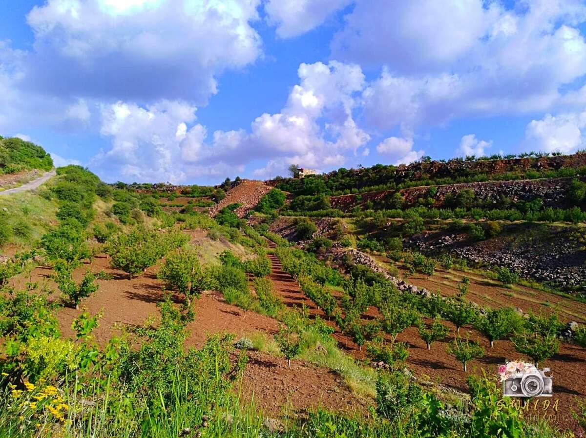 Sýria, mesto as-Suwayda, príroda