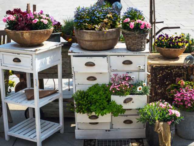 Colorful bushes of spring flowers, planted in old pots, buckets and boxes with white furniture. New direction in floral decor. Floriculture.