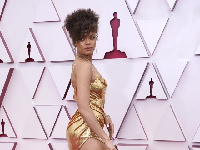 93rd Academy Awards - Arrivals