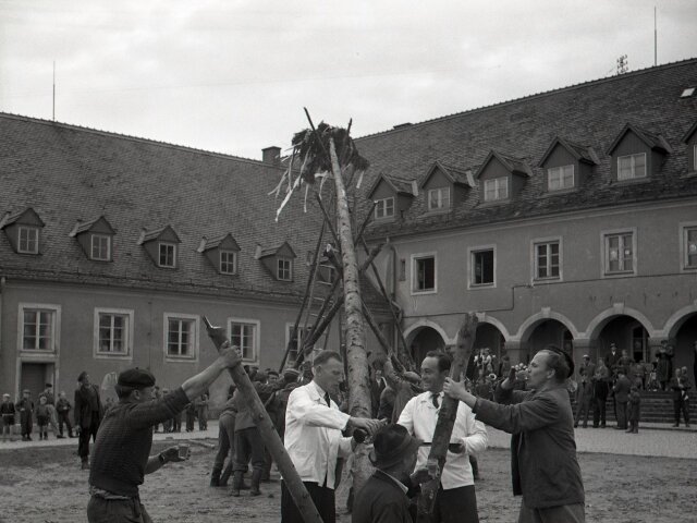 máj, 1. máj, majáles