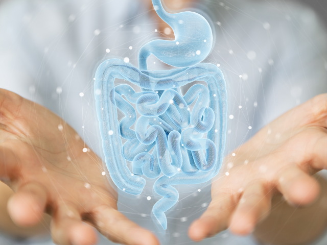 črevo, ruky, trávenie, tráviaca sústava