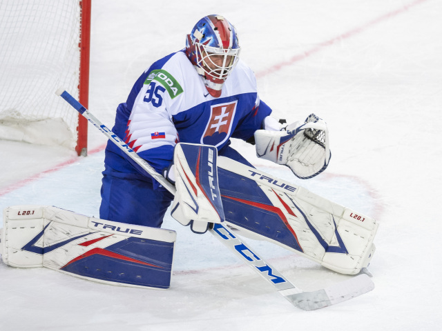 húska MS2021 Hokej A SR Švédsko Slovensko