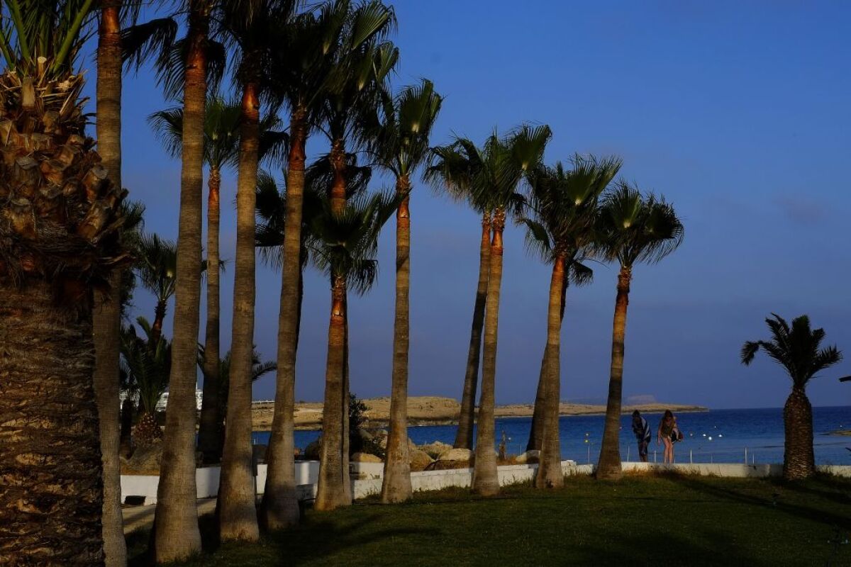Cyprus, palmy, dovolenka, more,