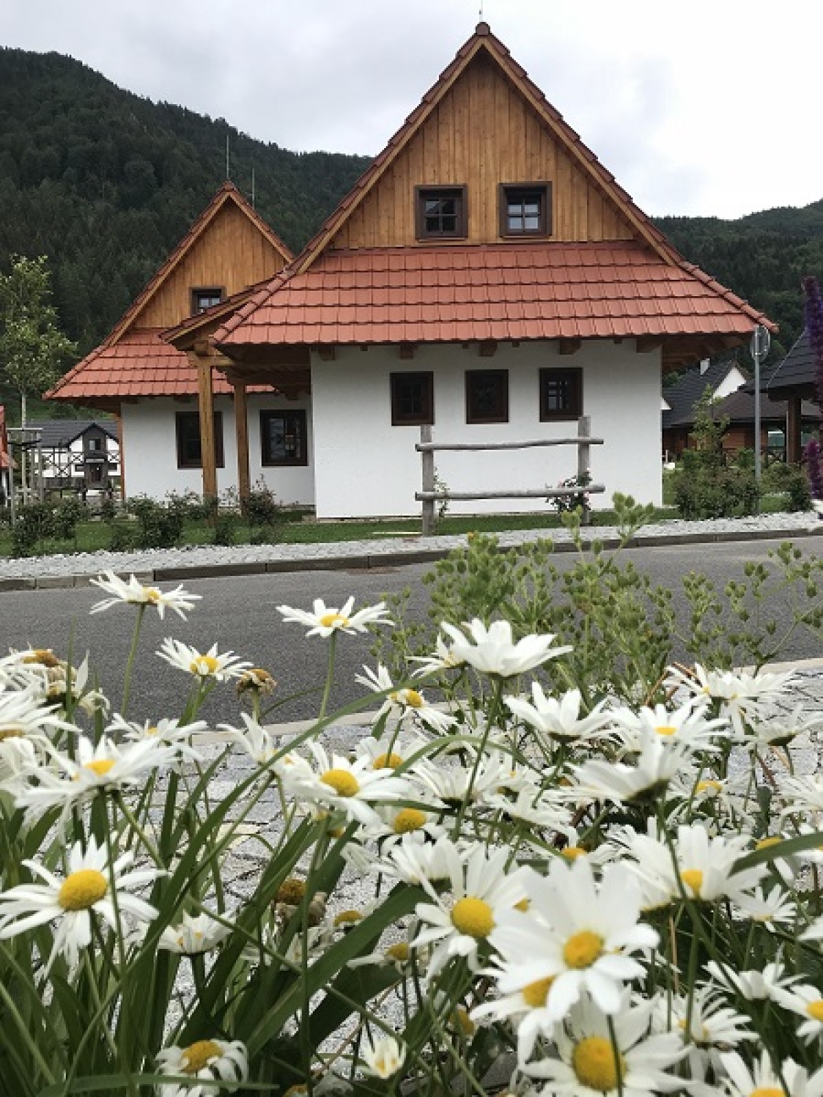 gothal11, PR článok, reklama, nepoužívať