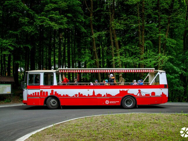 cabrio-bus, autobus, DPB