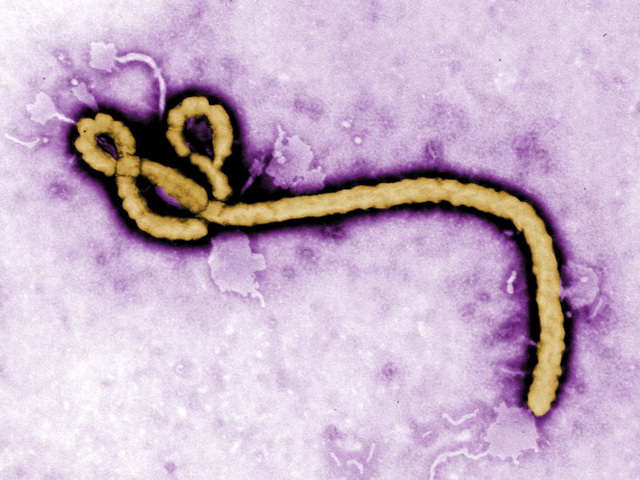 Guinea epidémie ebola