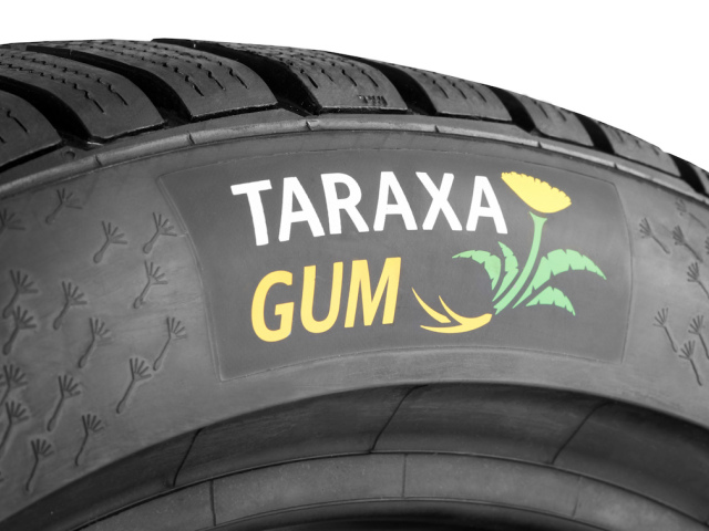 Winter Contact, Taraxagum Logo
