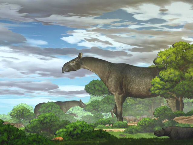 image 9776 1e-Paraceratherium-linxiaense