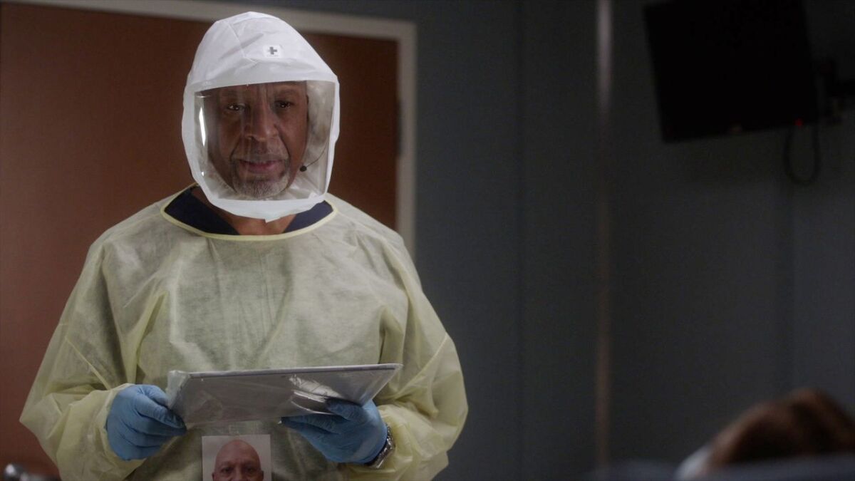 greys anatomy,