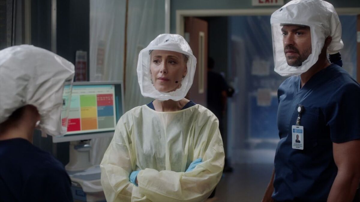 greys anatomy,