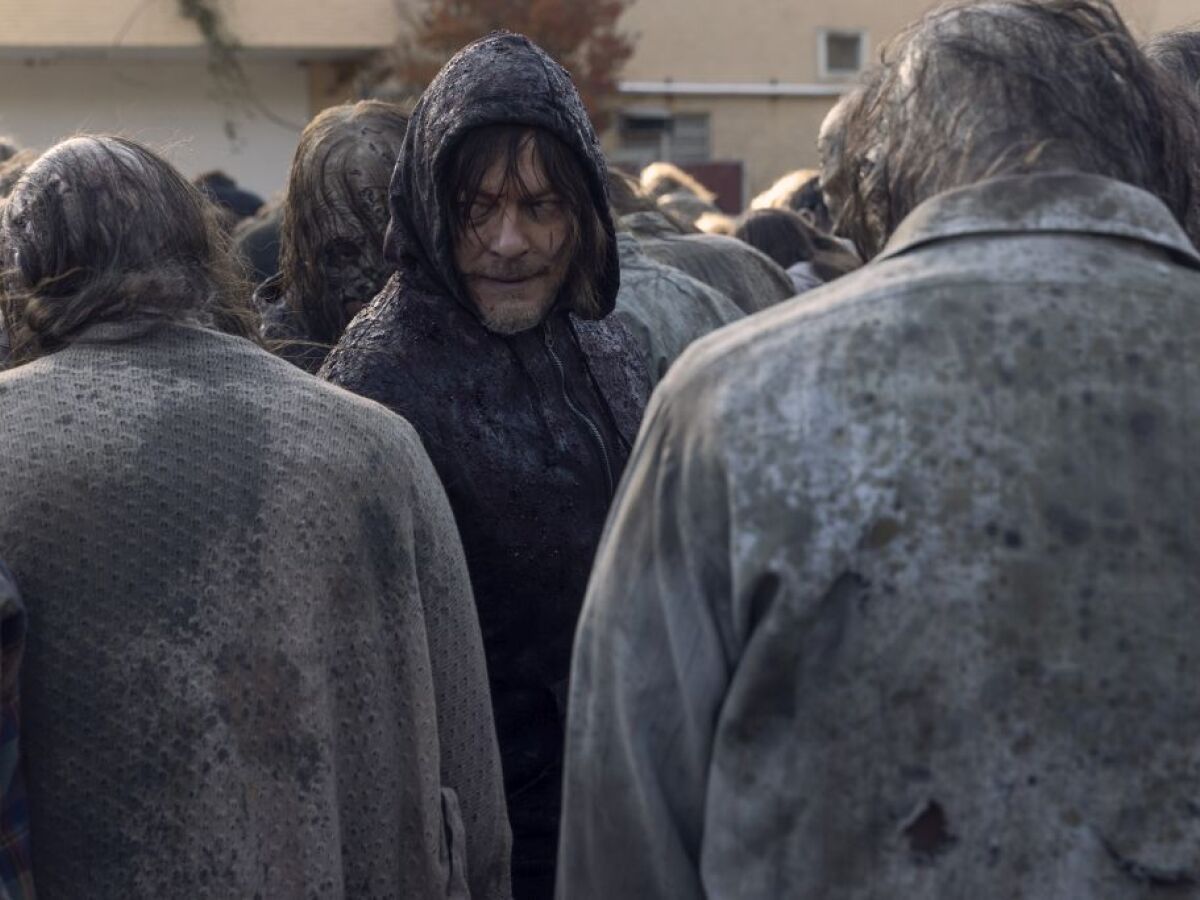Norman Reedus, the walking dead,