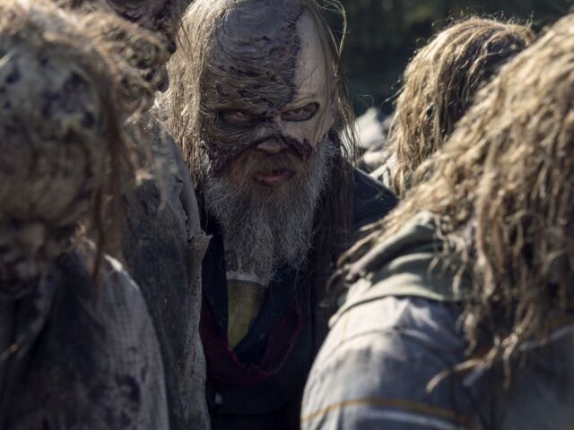 the walking dead,