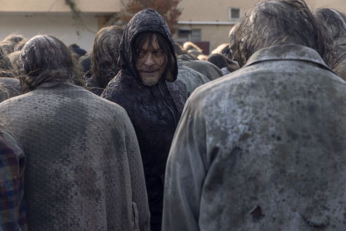 Norman Reedus, the walking dead,