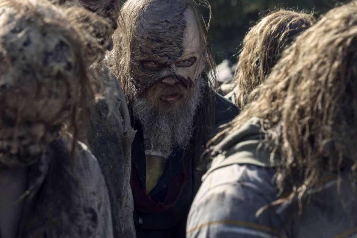 the walking dead,