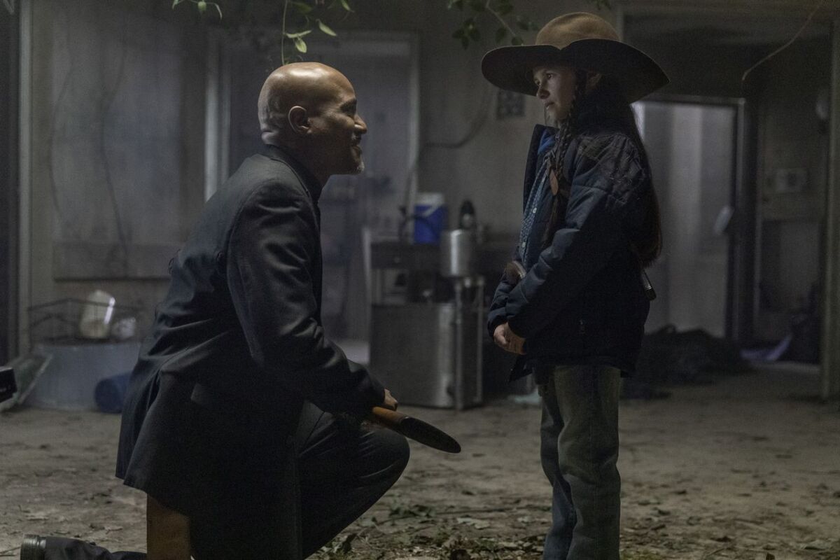 the walking dead,