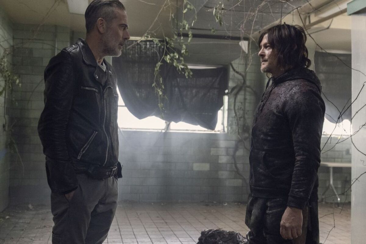 the walking dead,