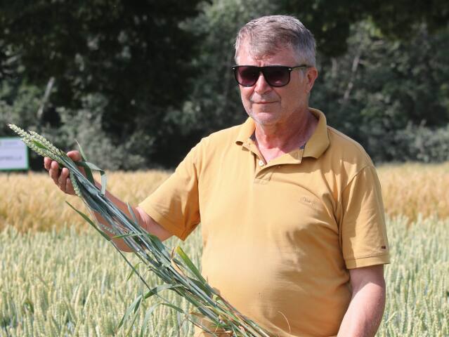 Gyula Zalabai, Solary, obilniny