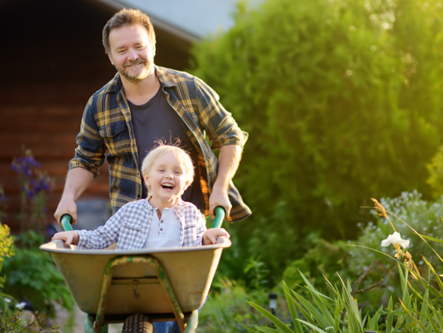 Happy little boy having fun in a wheelbarrow pushing by dad in domestic garden on warm sunny day. Active outdoors games for kids in summer.