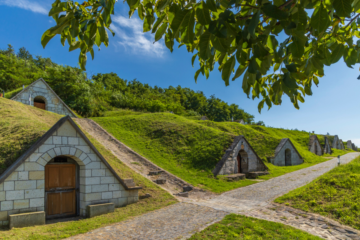 Gombos-hegyi, pivnice, Hercegkút, Maďarsko