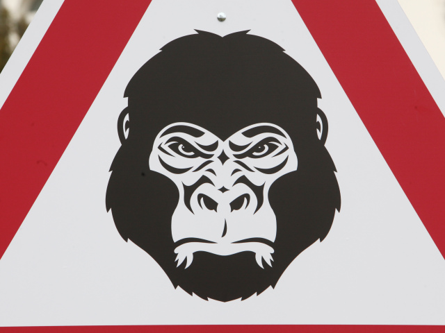 gorila, protest
