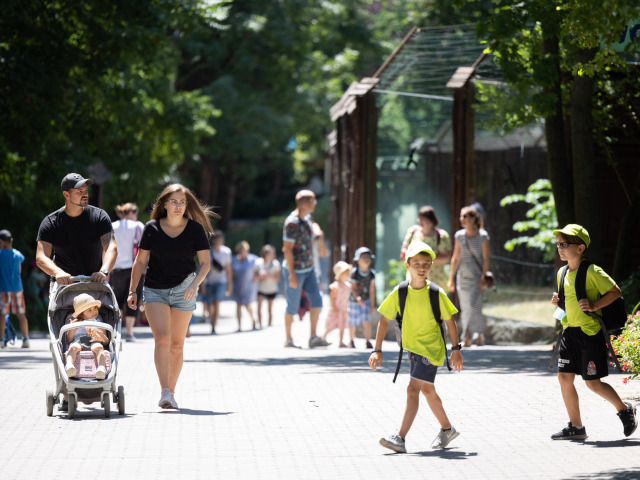 počasie ZOO