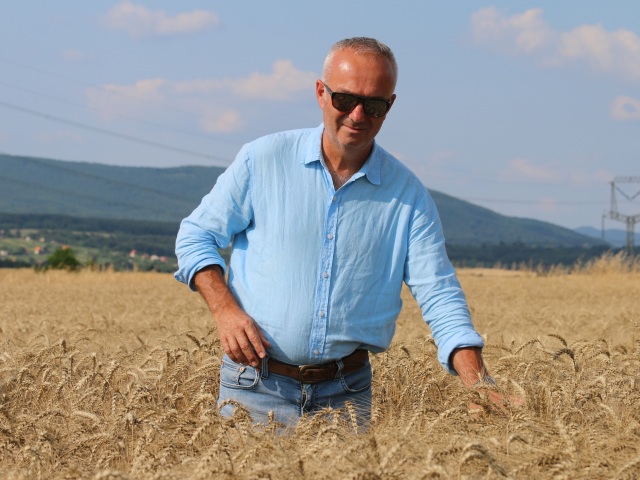 Ján Jelen, farmár, pšenica