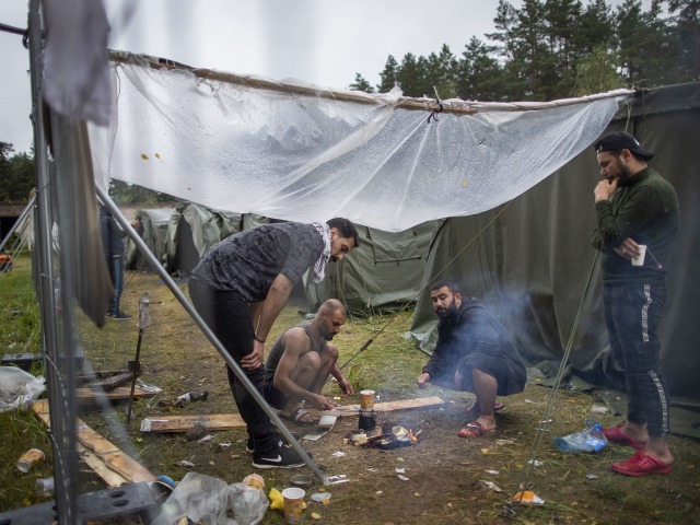 migranti