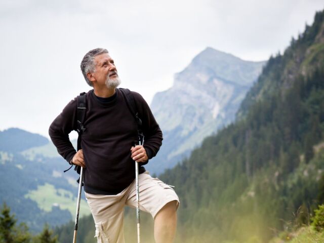turista, turistika, hory, výlet, cestovanie, príroda, Švajčiarske Alpy