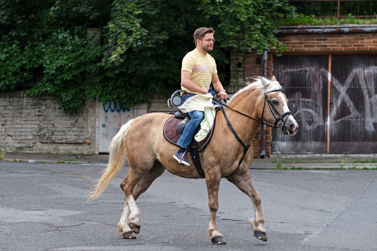 Jiří Mádl na koni, Dennik moderneho fotra
