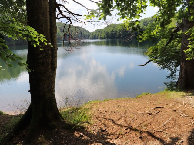 Morské oko