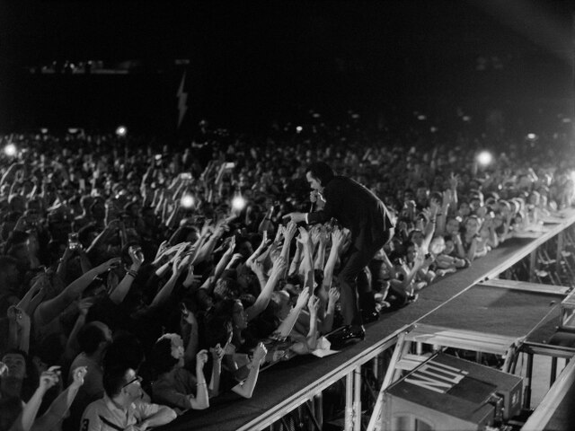 Nick Cave na festival EXIT Fest