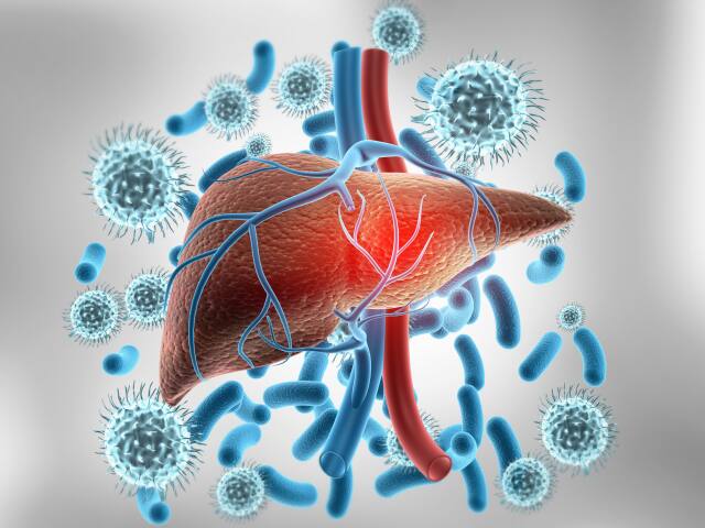 pečeň, vírus, žltačka, hepatitída