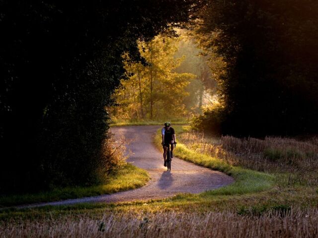 bicykel, cesta, šport, cyklista,