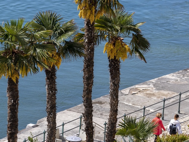 Chorvátsko / Turizmus / Opatija / Istria /