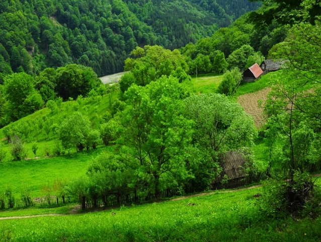 svahovitý pozemok