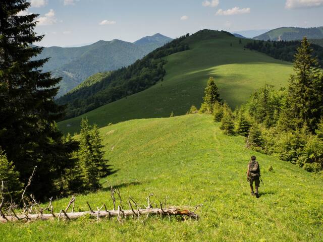 Veľká Fatra, dvorisko