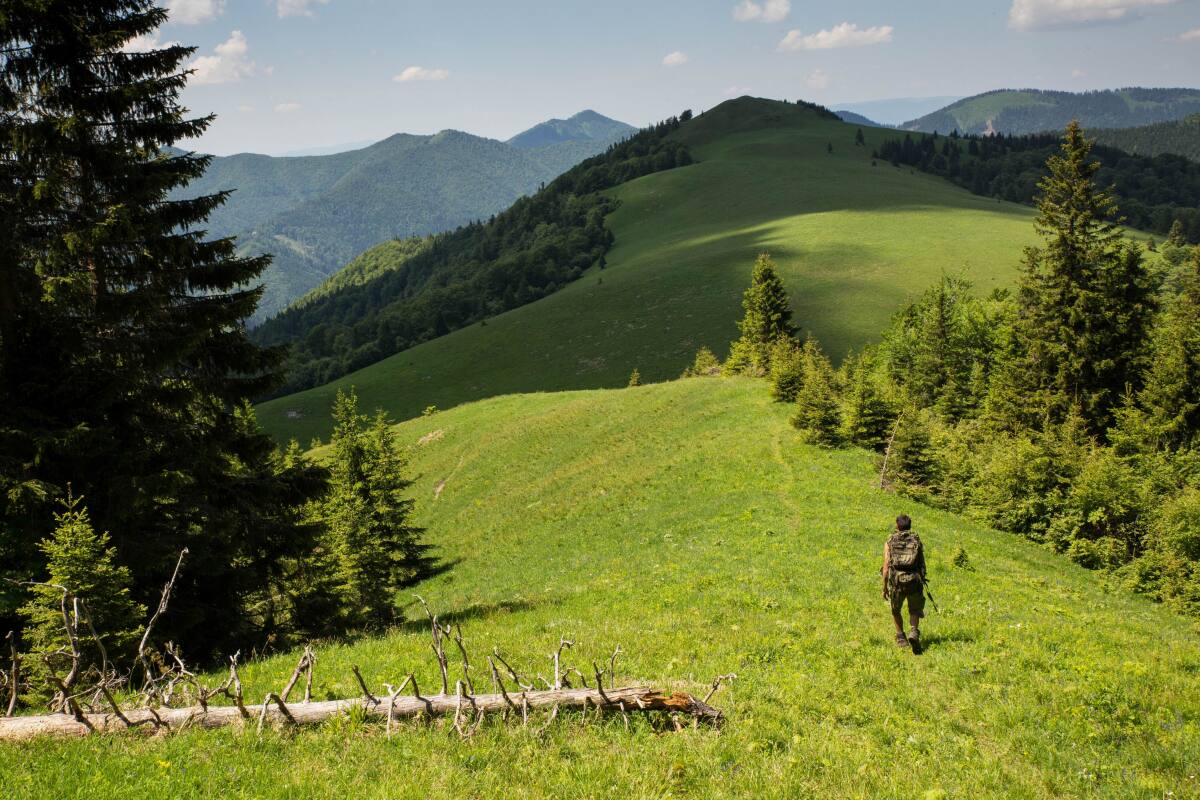 Veľká Fatra, dvorisko