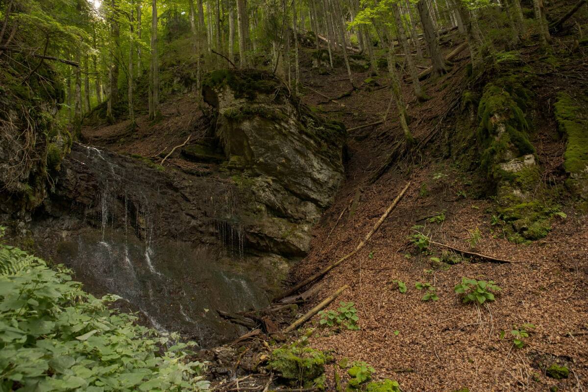 Veľká Fatra, vodopád
