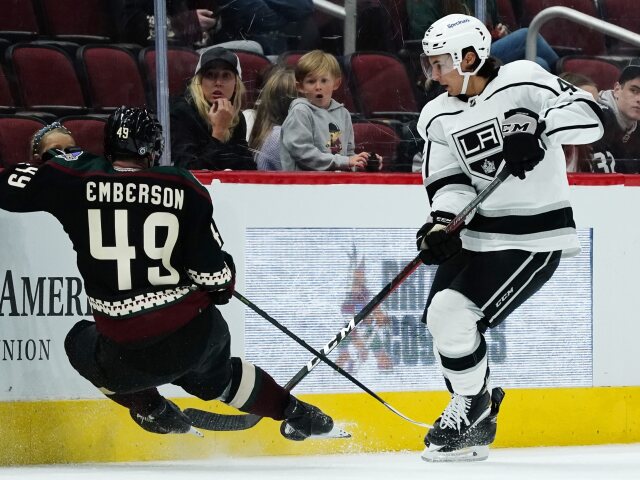 USA SR šport hokej NHL Kings Coyotes