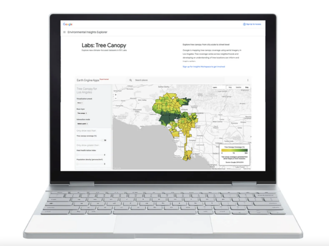 Google, Tree Canopy