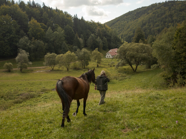 Muránska planina, kone