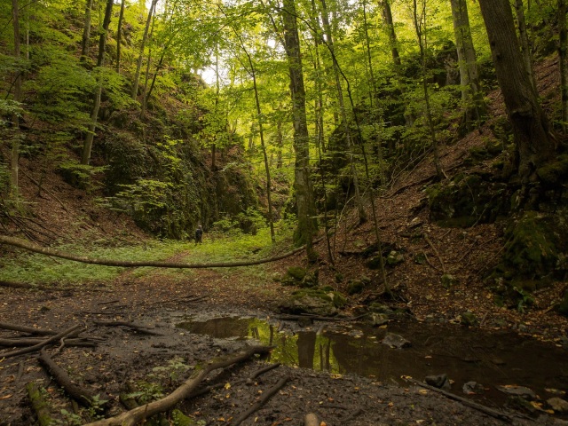 Muránska planina, Šarkanica