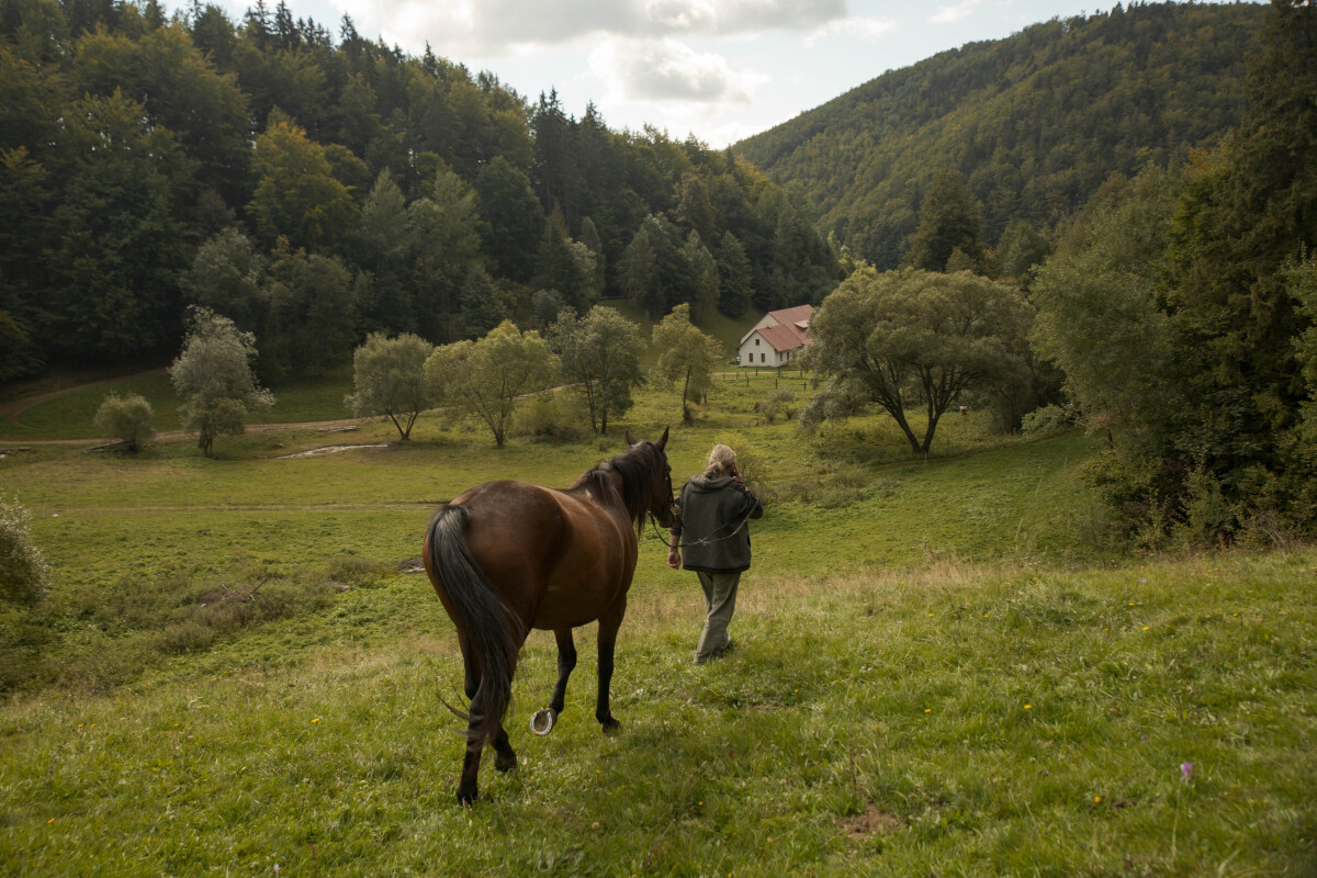 Muránska planina, kone