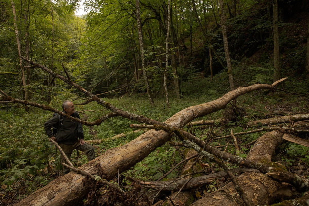 Muránska planina, prírodná rezervácia, Šarkanica