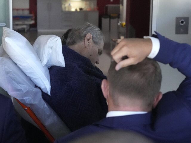zeman