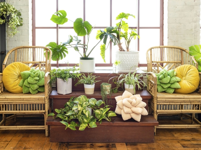 Homes-Housewarming Gifts