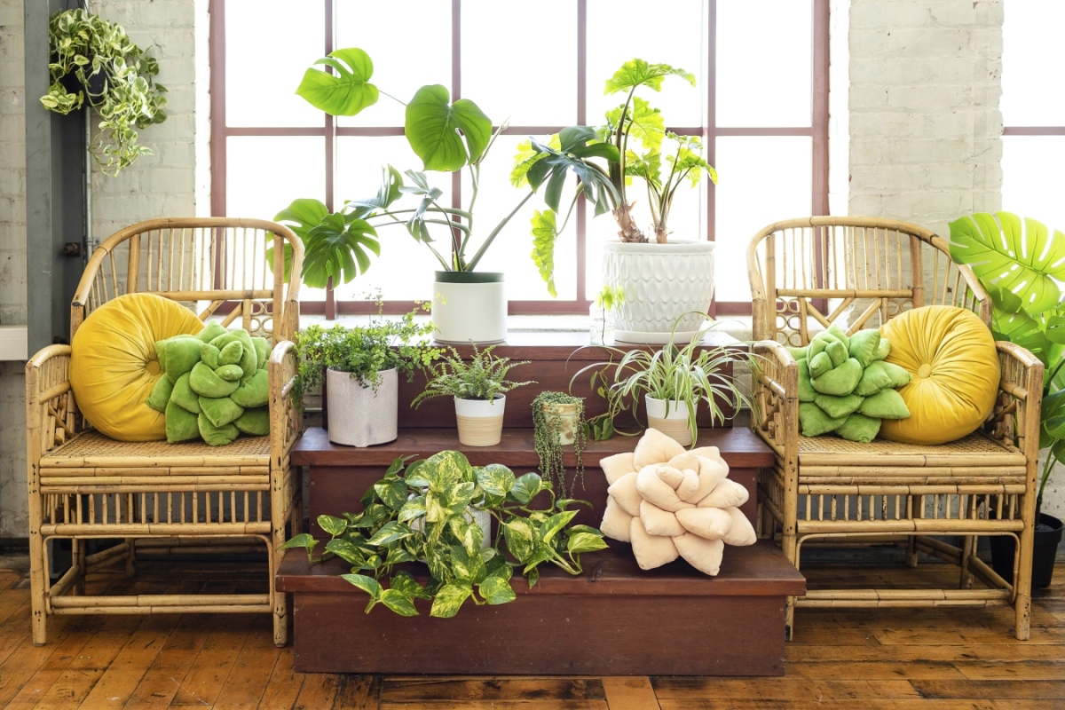 Homes-Housewarming Gifts