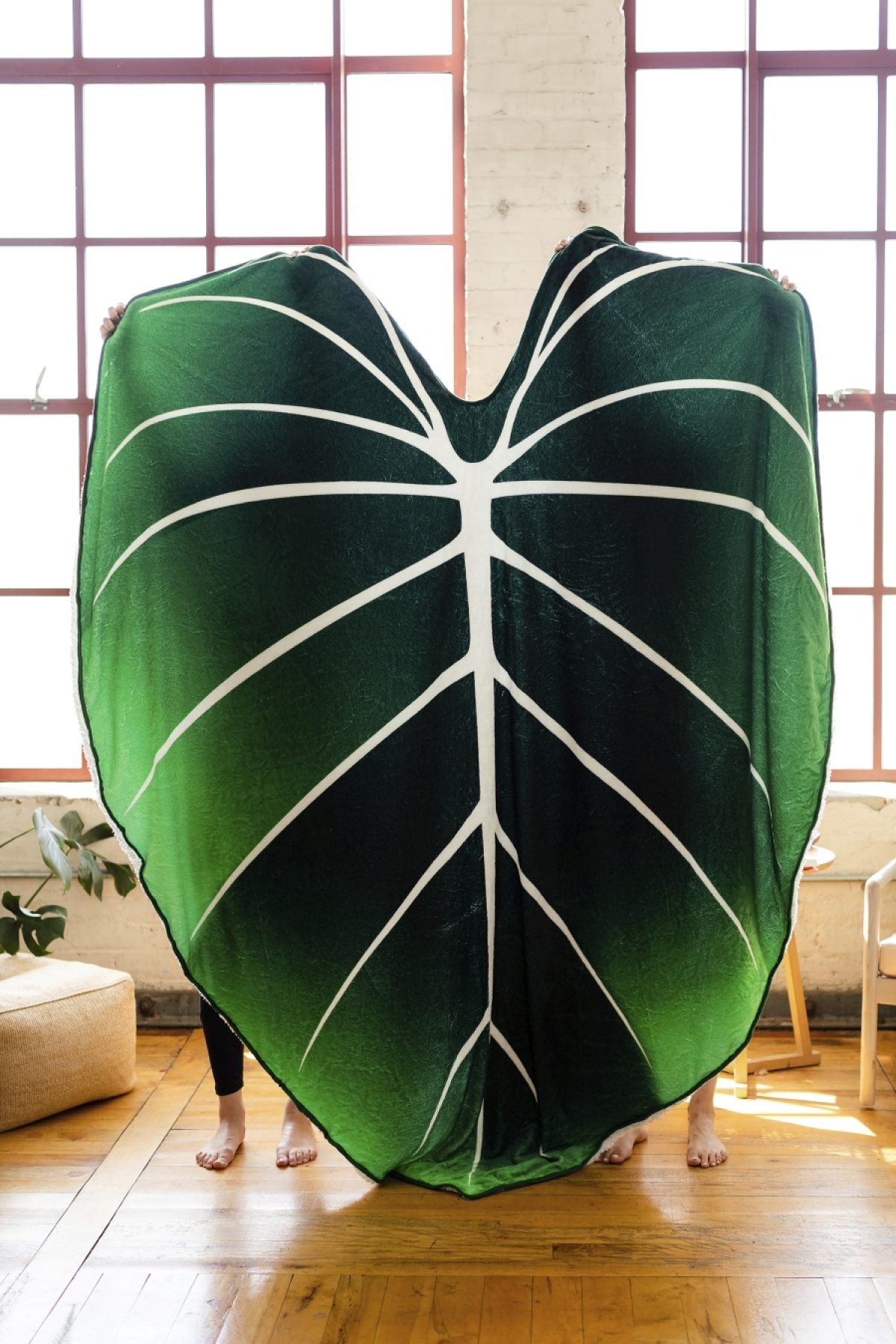 Homes-Housewarming Gifts